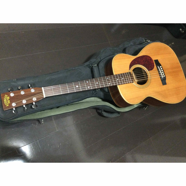 アコースティックギター Asturias 【高品質】 brcstarch.com.br
