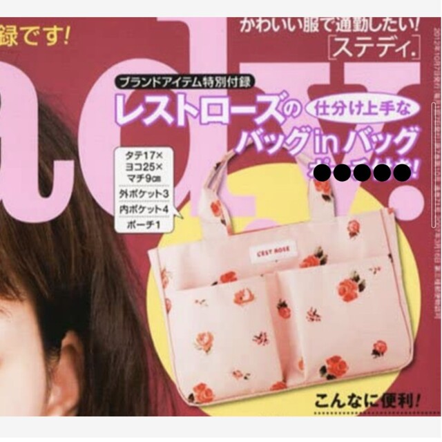 L'EST ROSE(レストローズ)の163 steady. 10月号 付録 レディースのファッション小物(ポーチ)の商品写真