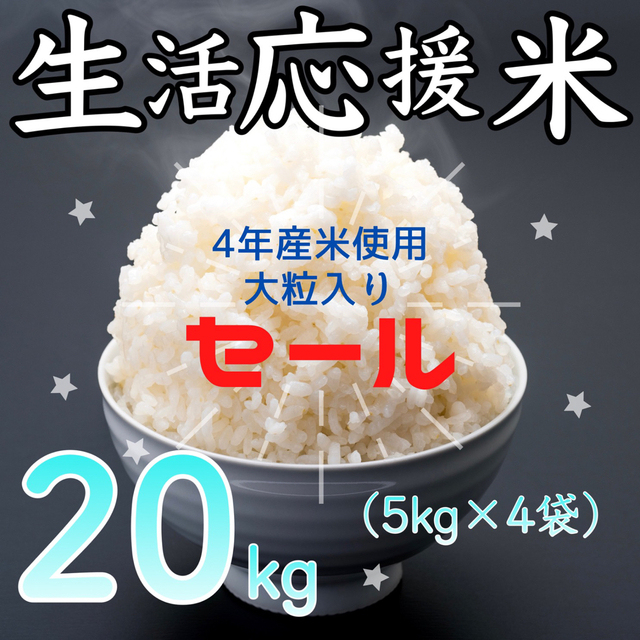 ふるさと納税 食卓応援米 精米20kg 5kg×4本 国内産ブレンド米 ...