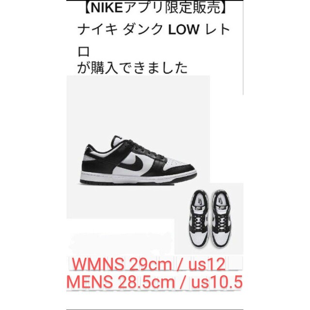 Nike WMNS Dunk Low Retro Panda ダンク パンダ