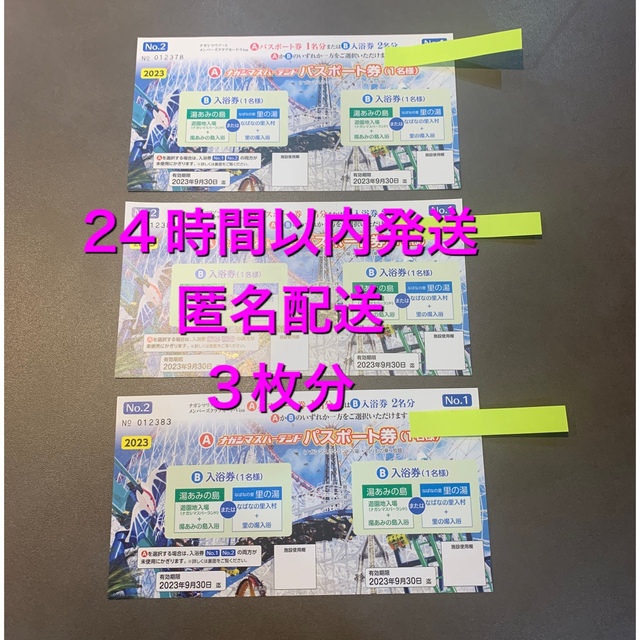 施設利用券ナガシマスパーランド　パスポート　3枚　3名　匿名配送