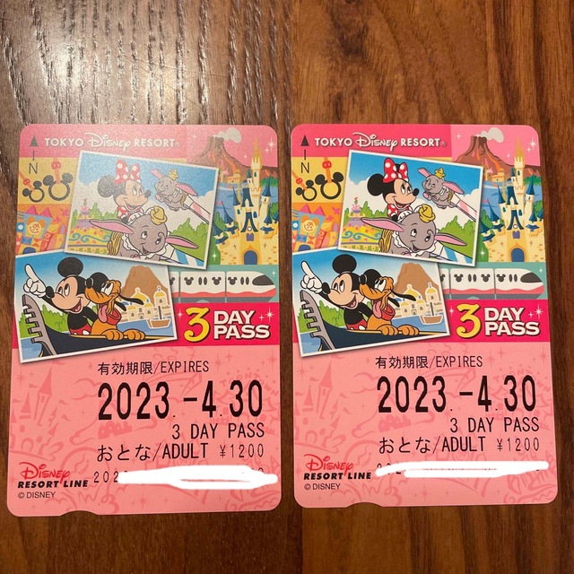 Disney(ディズニー)のディズニーリゾートライン3DAY PASS 2枚組 チケットの施設利用券(遊園地/テーマパーク)の商品写真