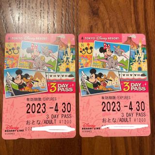 ディズニー(Disney)のディズニーリゾートライン3DAY PASS 2枚組(遊園地/テーマパーク)