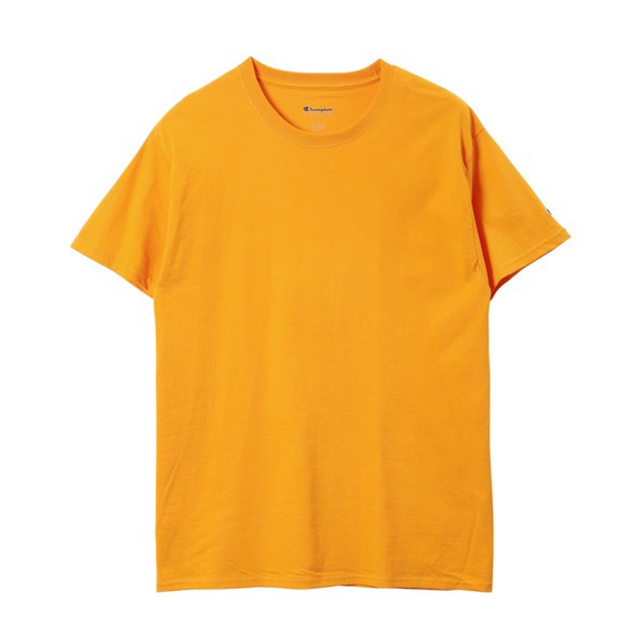 Champion(チャンピオン)の【限定価格】champion チャンピオン tシャツ ビックシルエット L メンズのトップス(Tシャツ/カットソー(半袖/袖なし))の商品写真