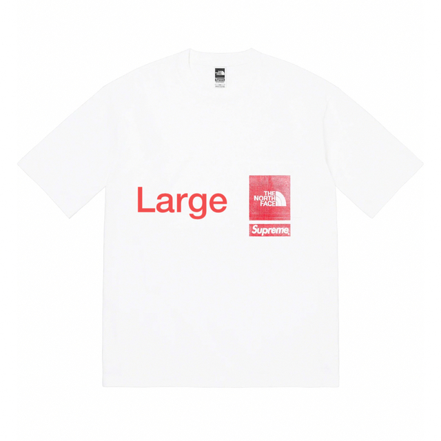 Supreme the north face box logo tシャツ