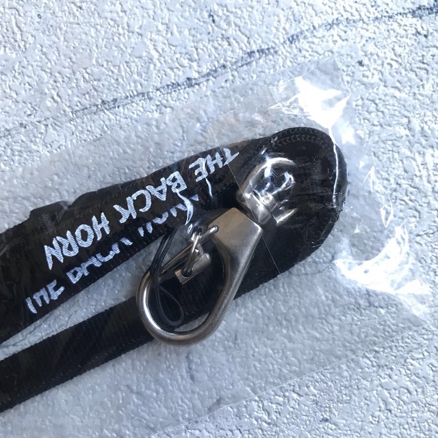 激レア THE BACK HORN サイン入りポラロイド 初期メンバー 激レア THE BACK HORN サイン入りポラロイド 初期メンバー