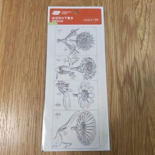 ほぼ日手帳　2023 ほぼ日の下敷き　牧野富太郎　weeks サイズ用(カレンダー/スケジュール)