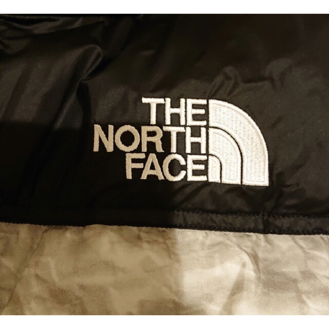 Supreme(シュプリーム)のSupreme North Face Paper Nuptse Jacket L メンズのジャケット/アウター(ダウンジャケット)の商品写真