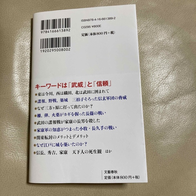 徳川家康弱者の戦略 エンタメ/ホビーの本(その他)の商品写真