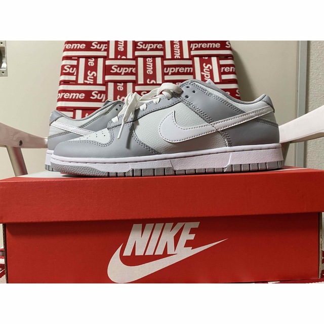 Nike Dunk Low Retro Pure Platinum