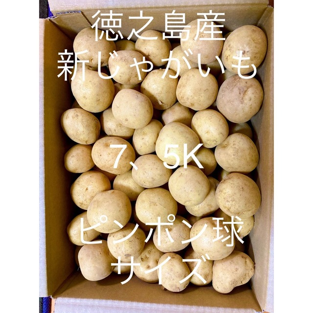 馬鈴薯ニシユタカ！徳之島 産　新 じゃがいも ピンポン 7、5キロ　ジャガイモ 食品/飲料/酒の食品(野菜)の商品写真