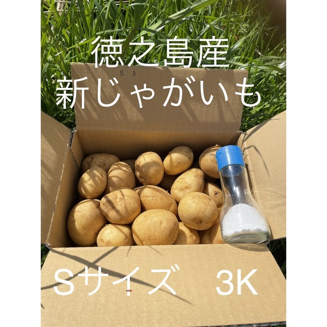 徳之島　産　新　ジャガイモ　3キロ　じゃがいも　馬鈴薯　ニシユタカ 食品/飲料/酒の食品(野菜)の商品写真