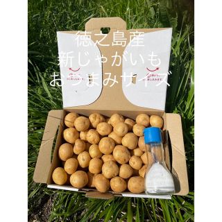 新じゃが　1、4キロ　徳之島産　ジャガイモ　コロコロサイズ(野菜)