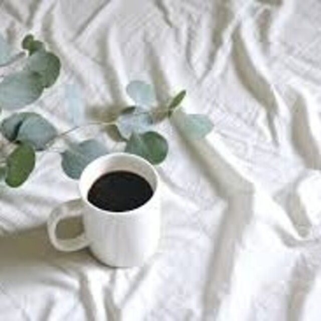 販売公式店 saku様専用 6840円 その他 | KARASGALLERYCOM