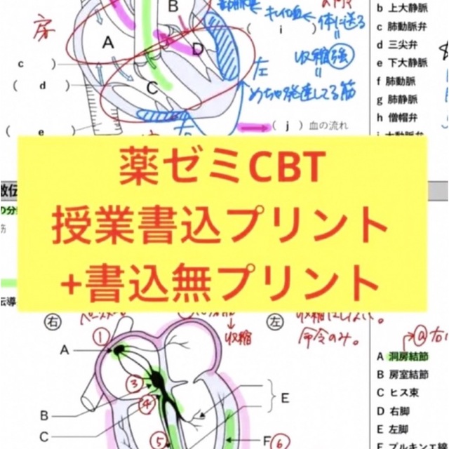 コアカリ重点ポイント集 コアカリマスター 第8版 CBT  薬ゼミ エンタメ/ホビーの本(資格/検定)の商品写真