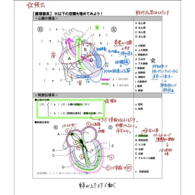 コアカリ重点ポイント集 コアカリマスター 第8版 CBT  薬ゼミ エンタメ/ホビーの本(資格/検定)の商品写真