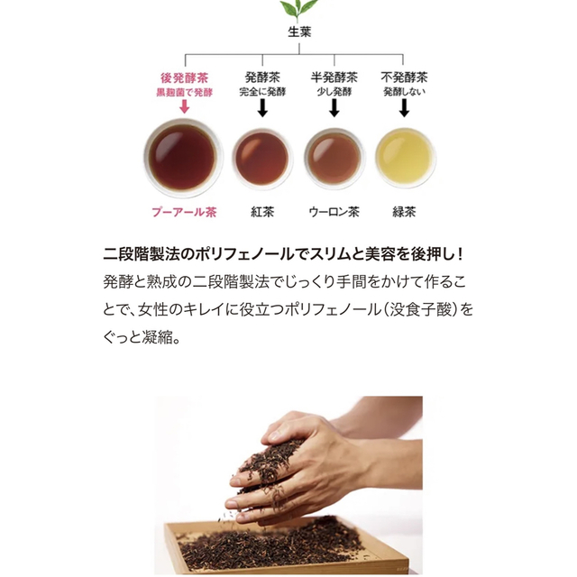 ORBIS(オルビス)のオルビス　陳香プーアール茶（徳用）2g×50袋 食品/飲料/酒の健康食品(健康茶)の商品写真