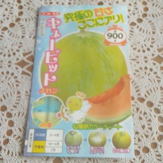 野菜タネ　メロン種　キューピット　種子12粒(野菜)