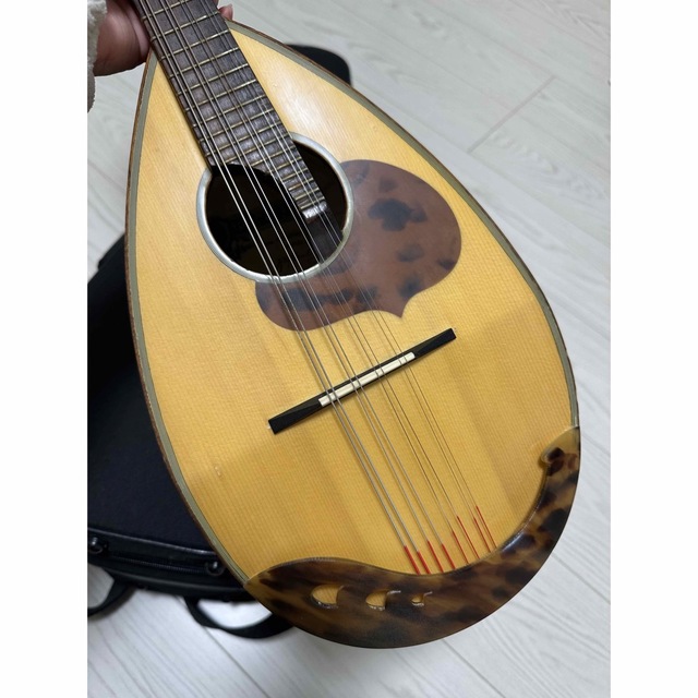 あおふみ様専用　ラファエレカラーチェ　type24 楽器の弦楽器(マンドリン)の商品写真