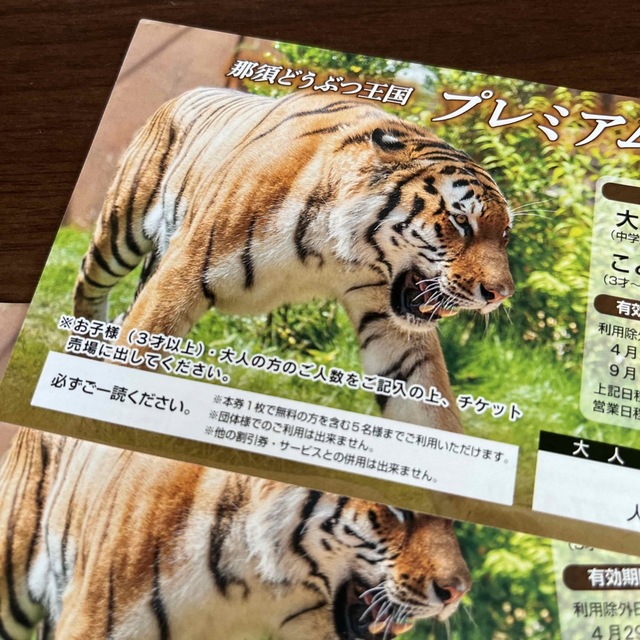 那須どうぶつ王国　プレミアム割引券　こども無料券 チケットの施設利用券(動物園)の商品写真
