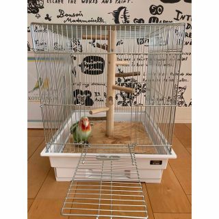 バードアスレチック 鳥さん♡インコ 天然木の止まり木(その他)