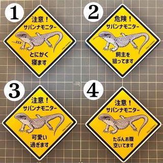 ステッカー　マグネット　爬虫類　よりどり5枚(爬虫類/両生類用品)