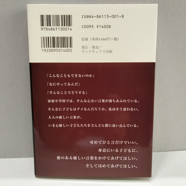 『夜回り先生』 水谷修氏著 初期の二冊セット エンタメ/ホビーの本(ノンフィクション/教養)の商品写真