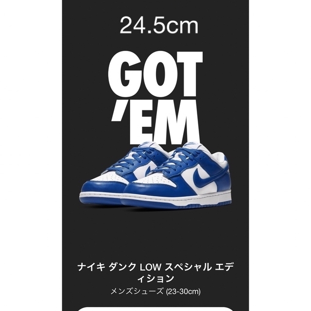 NIKE(ナイキ)のNike Dunk Low SP Varsity Royal/Kentucky メンズの靴/シューズ(スニーカー)の商品写真