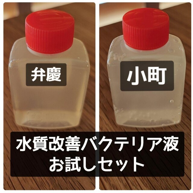 定番の人気シリーズPOINT(ポイント)入荷 小町 品評会専用水質浄化バクテリア液 1L 使用説明書付 卑弥呼 品評会専用水質浄化バクテリア液 1L(使用説明書付)