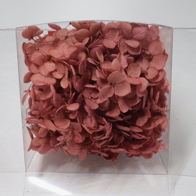 【SALE/99%OFF】 プリザーブドフラワー 仏花 1000円プリザキューブCUBE全6色 お悔やみ 喪中見舞い ギフト 写真立て ペット葬儀