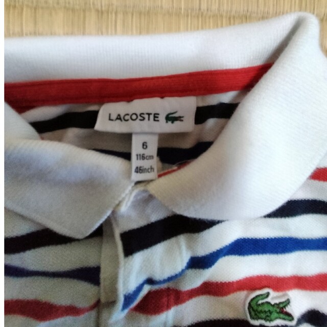 LACOSTE(ラコステ)のラコステ　ボーダーポロシャツ　サイズ116 キッズ/ベビー/マタニティのキッズ服男の子用(90cm~)(Tシャツ/カットソー)の商品写真