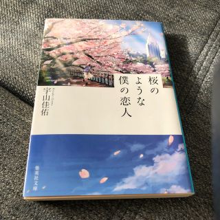 桜のような僕の恋人　宇山圭佑(文学/小説)