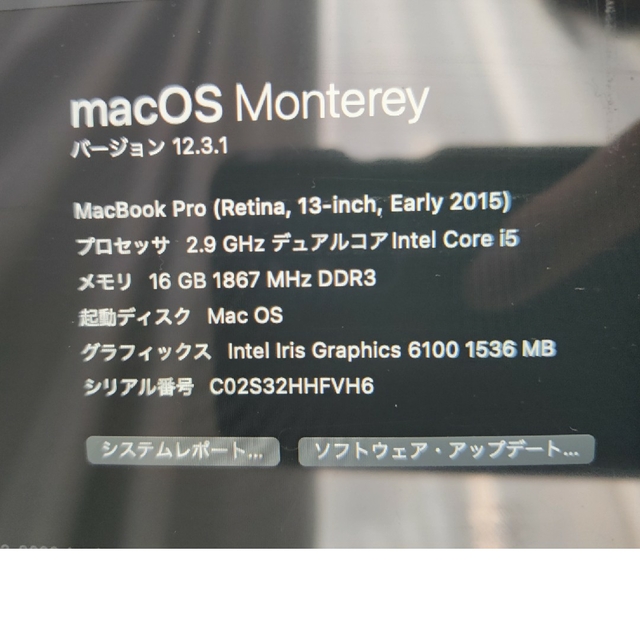Macbook pro early 2015 商品の状態 PC/タブレット 販促品製作 - 通販