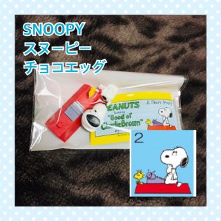 サンディエゴ・コミコン限定 スヌーピー チャーリーブラウンマスク