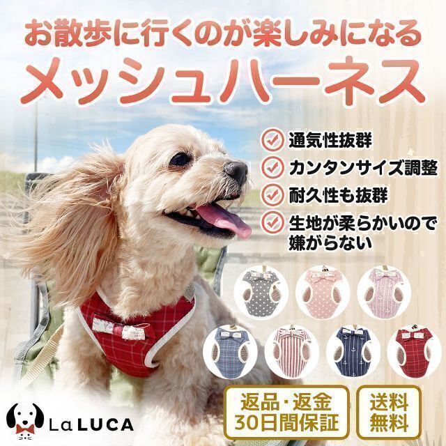 高評価! 犬猫 c039str-XS LaLUCA ウェアハーネスリードセット