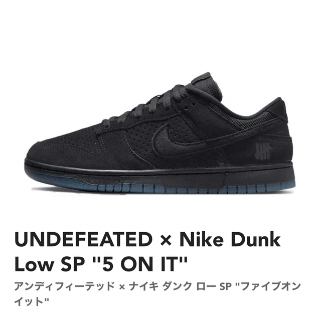 NIKE(ナイキ)のUNDEFEATED × Nike Dunk Low SP 5 ON IT メンズの靴/シューズ(スニーカー)の商品写真