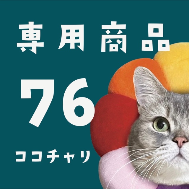 ココチャリ76 エンタメ/ホビーのおもちゃ/ぬいぐるみ(キャラクターグッズ)の商品写真