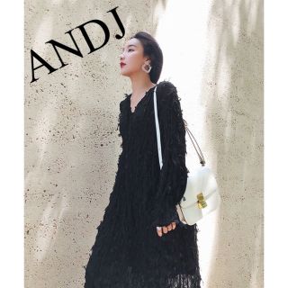 アンドジェイ(ANDJ)の美品　ANDJ  ロングワンピース　ワンピース　フリンジ　Aライン　人気　完売(ロングワンピース/マキシワンピース)