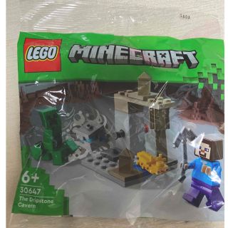 レゴ(Lego)のレゴ　マインクラフト　30647  ミニキット(知育玩具)