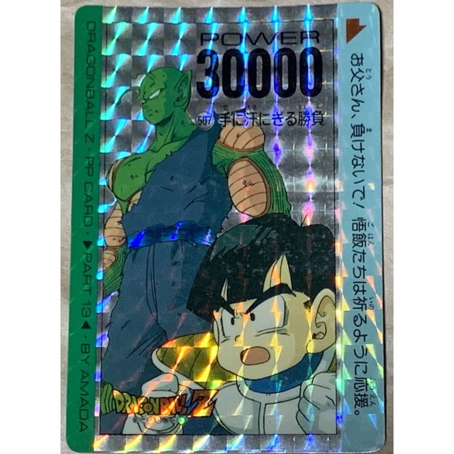 【現品限り】ドラゴンボールZ カードダス　PP CARD PART13 507