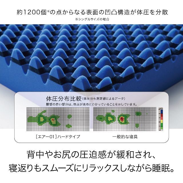 色: 01.ブルー/ハード】【キャンペーン対象商品】 西川 (Nishikawの