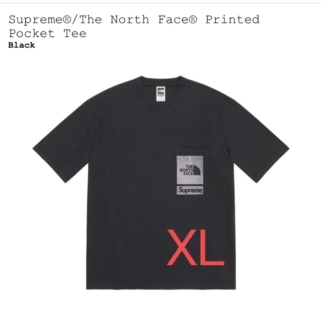 シュプリーム ザ ノース フェイス プリンティド ポケット Tシャツ XL