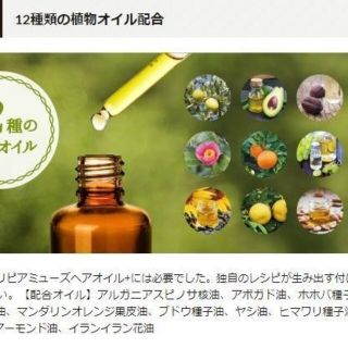 6本セット★リピアミューズ パーフェクト ヘアオイル+ Ella100ml