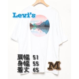 リーバイス(Levi's)の先行公開67 【Levi’s】バックプリント半袖Tシャツ サイズM(Tシャツ/カットソー(半袖/袖なし))