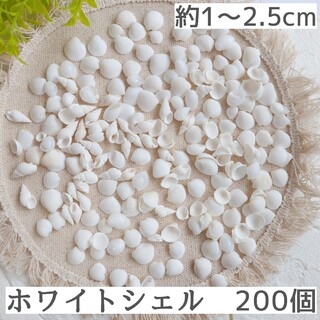 ホワイトシェル 200個　小さい貝殻　天然素材　シェル　貝殻セット　海　ホワイト(各種パーツ)