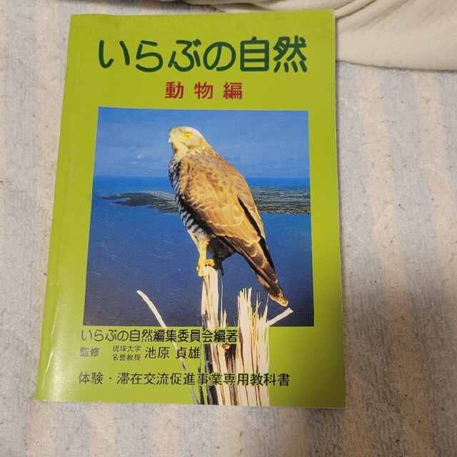 伊良部の自然　動物編 エンタメ/ホビーの本(趣味/スポーツ/実用)の商品写真