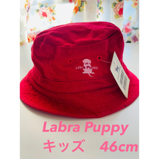 ラブラドールリトリーバー(Labrador Retriever)のラブラドールレトリーバー　LabraPuppy✨新品✨キッズ帽子46cm(帽子)