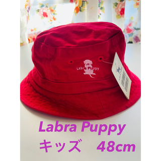 ラブラドールリトリーバー(Labrador Retriever)のラブラドールレトリーバー　LabraPuppy✨新品✨キッズ帽子48cm(帽子)