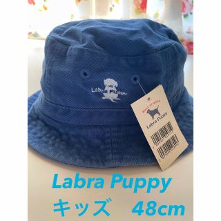 ラブラドールリトリーバー(Labrador Retriever)のラブラドールレトリーバー　LabraPuppy✨新品✨帽子キッズ48cm(帽子)