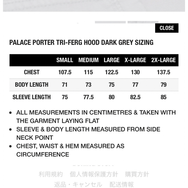 PALACE(パレス)のパレス　ポーター　パーカー　Lサイズ メンズのトップス(パーカー)の商品写真